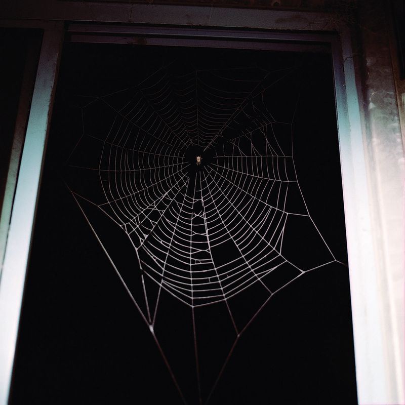 © Fabiola Cedillo - Image from the Los mundos de TITA photography project