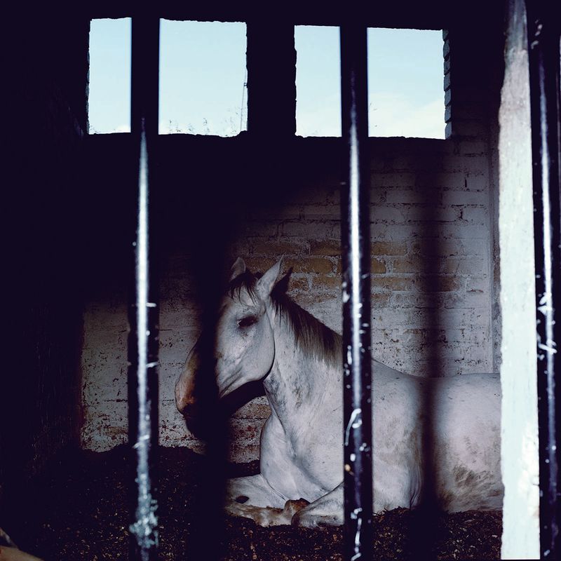 © Fabiola Cedillo - Image from the Los mundos de TITA photography project