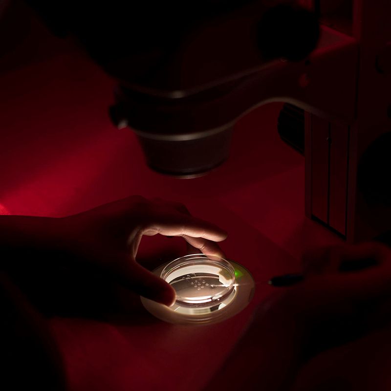 © Fabiola Cedillo - Image from the HUMAN photography project