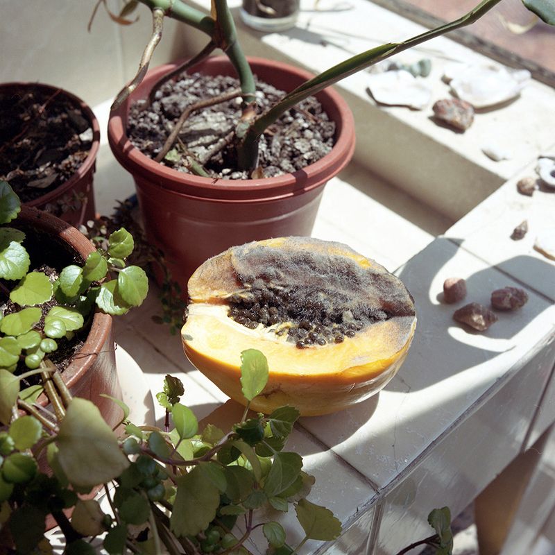 © Fabiola Cedillo - Image from the HUMAN photography project