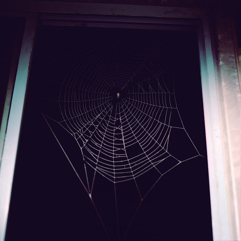 © Fabiola Cedillo - Image from the Los mundos de TITA photography project