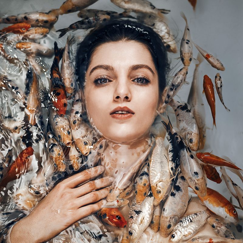 © maryam firuzi - Image from the Concealment photography project