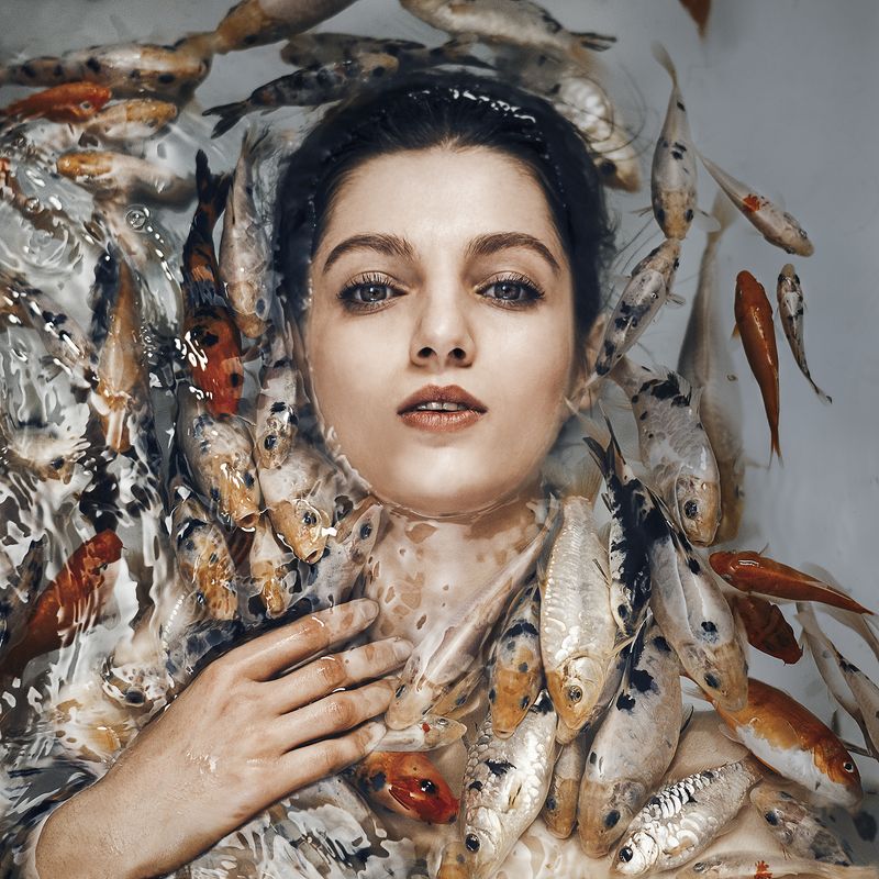 © maryam firuzi - Image from the Concealment photography project