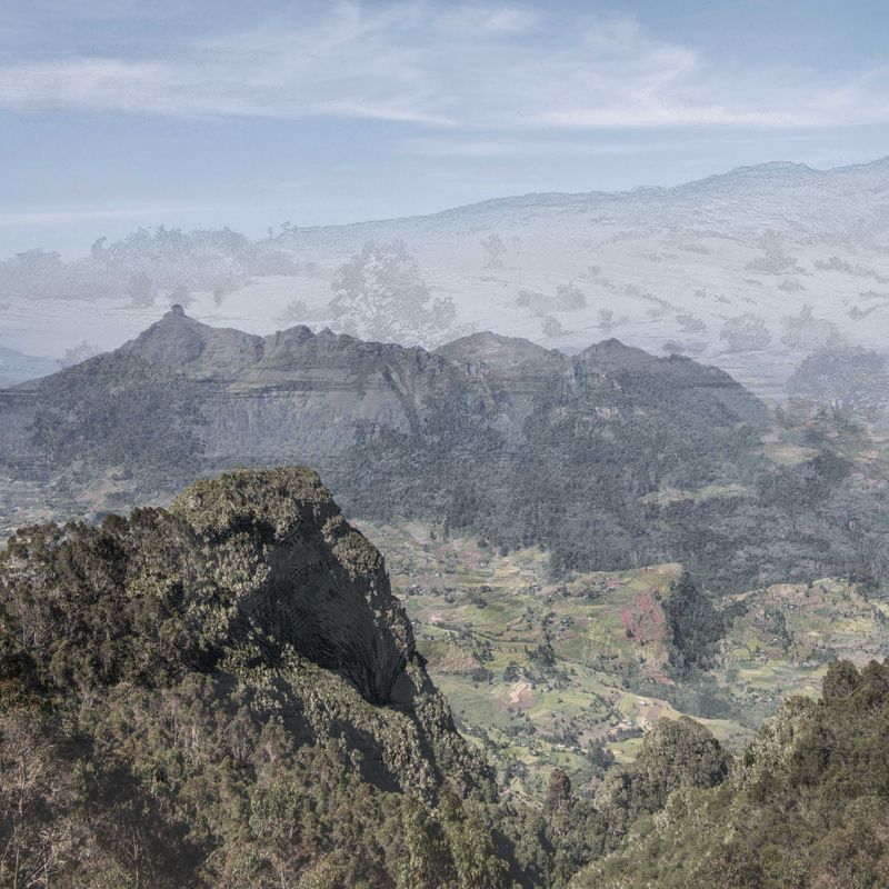 © Maheder Haileselassie - Exploration V