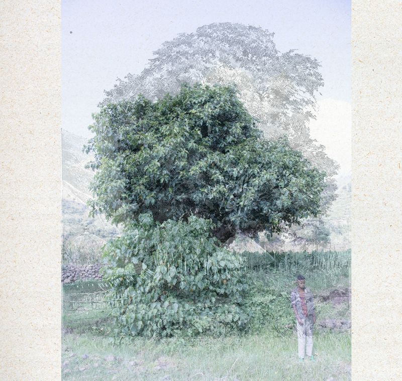 © Maheder Haileselassie - Exploration III