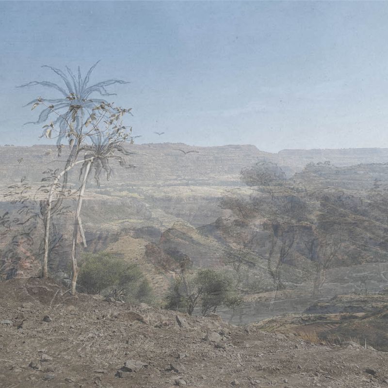 © Maheder Haileselassie - Exploration I