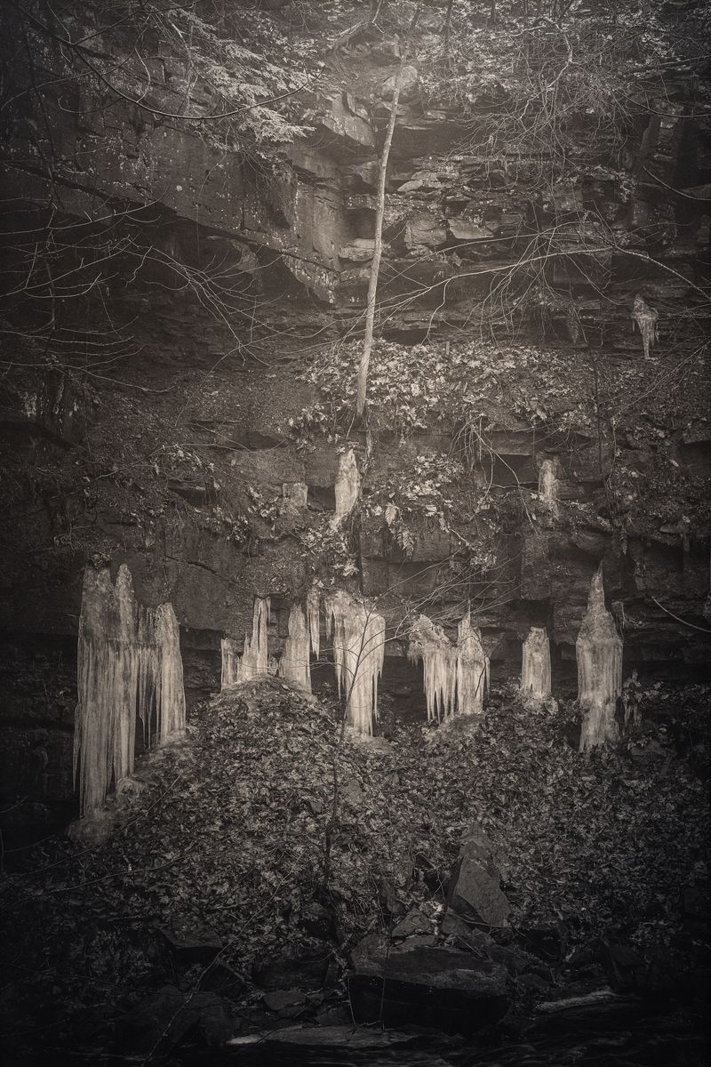 © Amélie Labourdette - Image from the A pure spirit grows beneath the bark of stones photography project