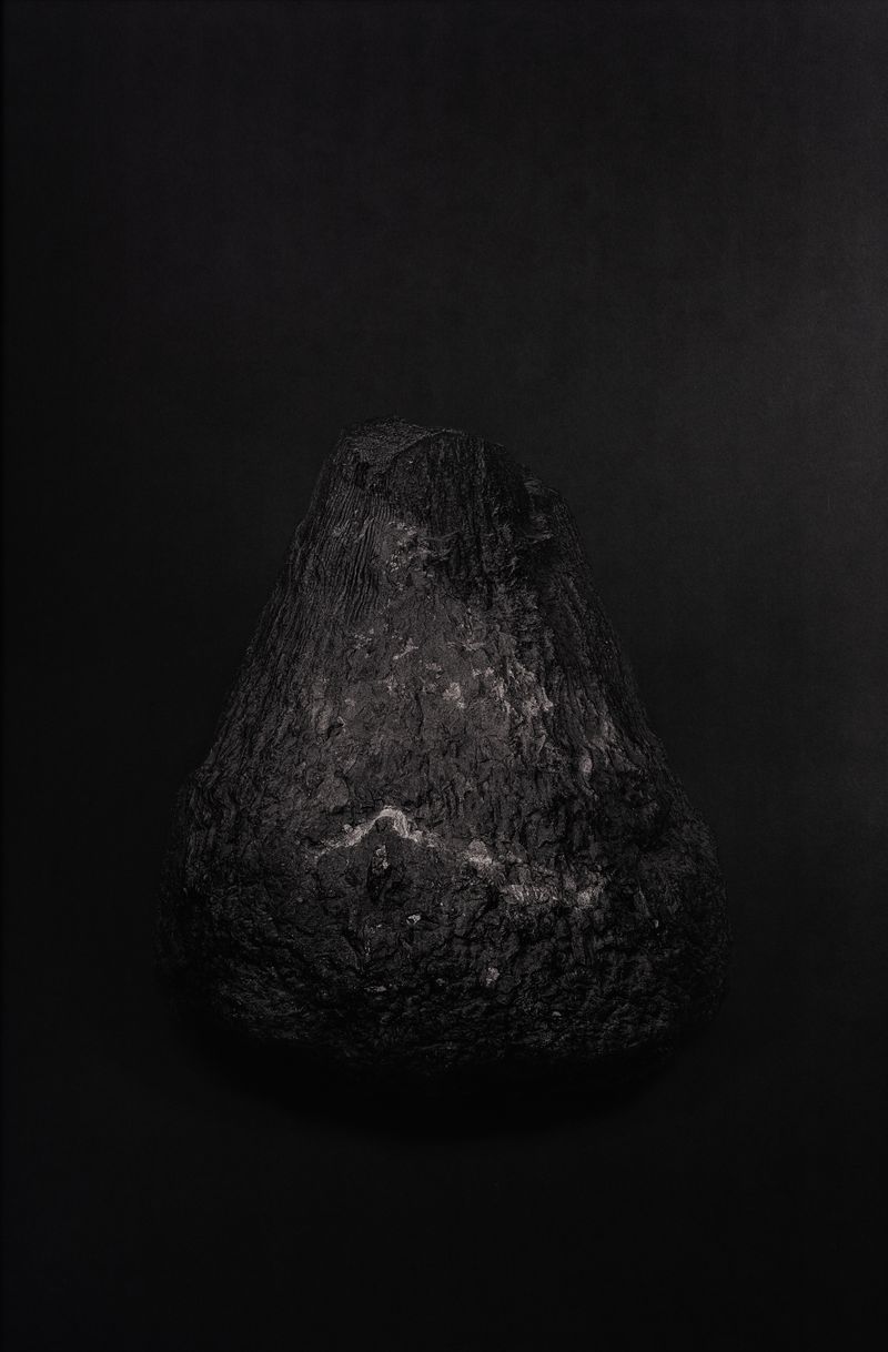 © Amélie Labourdette - Image from the A pure spirit grows beneath the bark of stones photography project