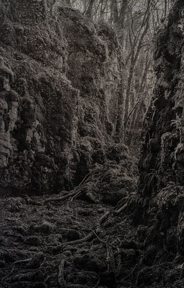 © Amélie Labourdette - Image from the A pure spirit grows beneath the bark of stones photography project