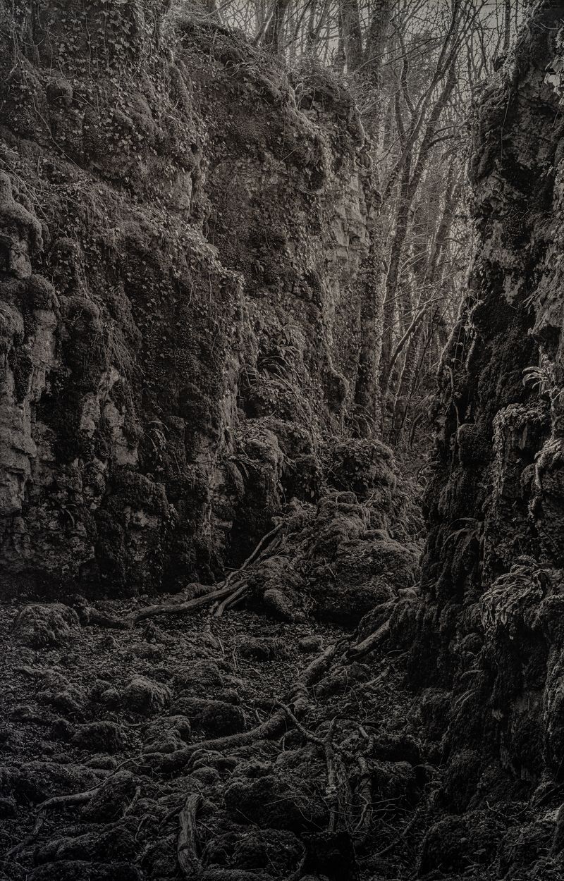 © Amélie Labourdette - Image from the A pure spirit grows beneath the bark of stones photography project