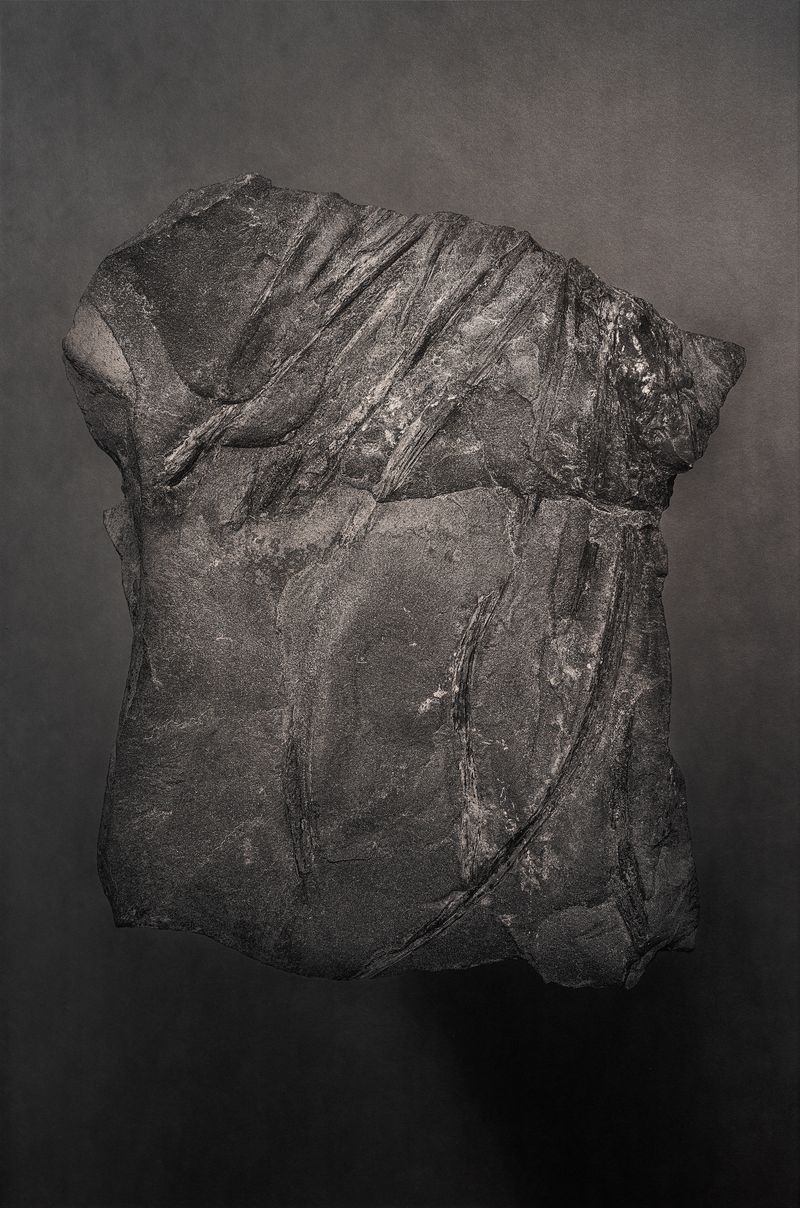 © Amélie Labourdette - Image from the A pure spirit grows beneath the bark of stones photography project