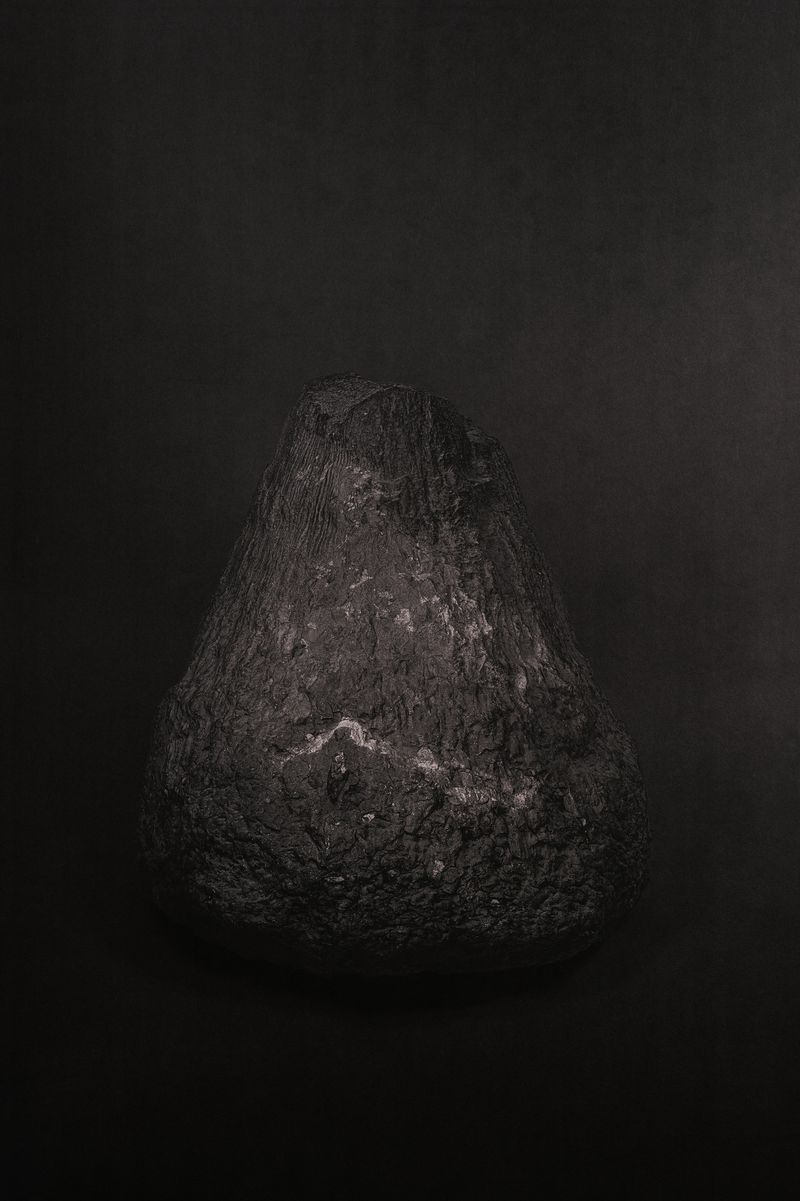 © Amélie Labourdette - Image from the A pure spirit grows beneath the bark of stones photography project