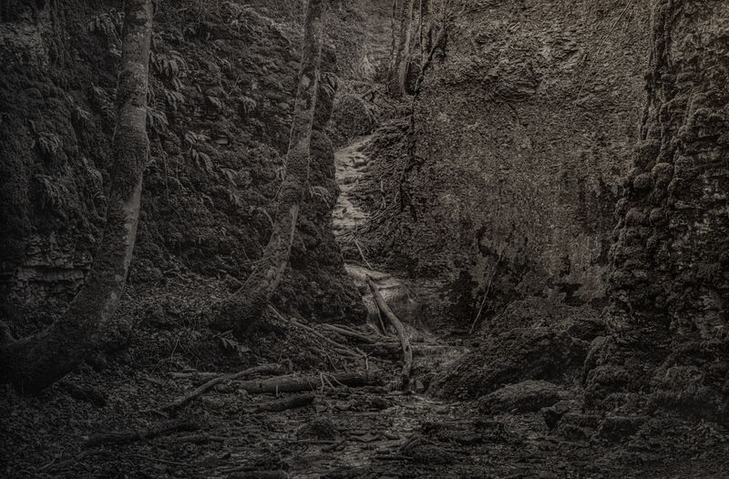 © Amélie Labourdette - Image from the A pure spirit grows beneath the bark of stones photography project