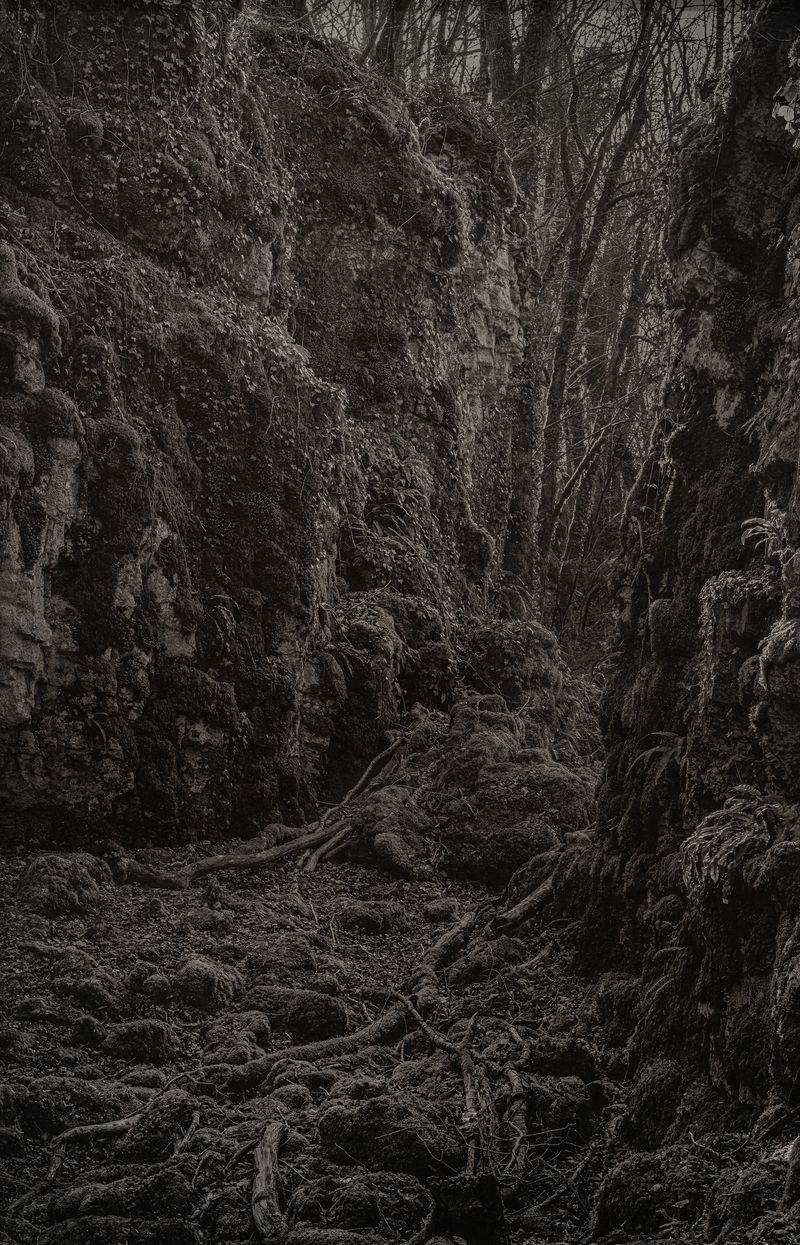 © Amélie Labourdette - Image from the A pure spirit grows beneath the bark of stones photography project