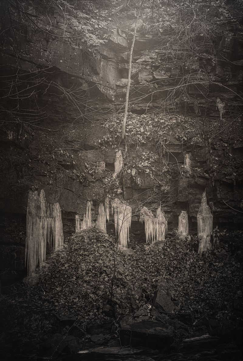© Amélie Labourdette - Image from the A pure spirit grows beneath the bark of stones photography project
