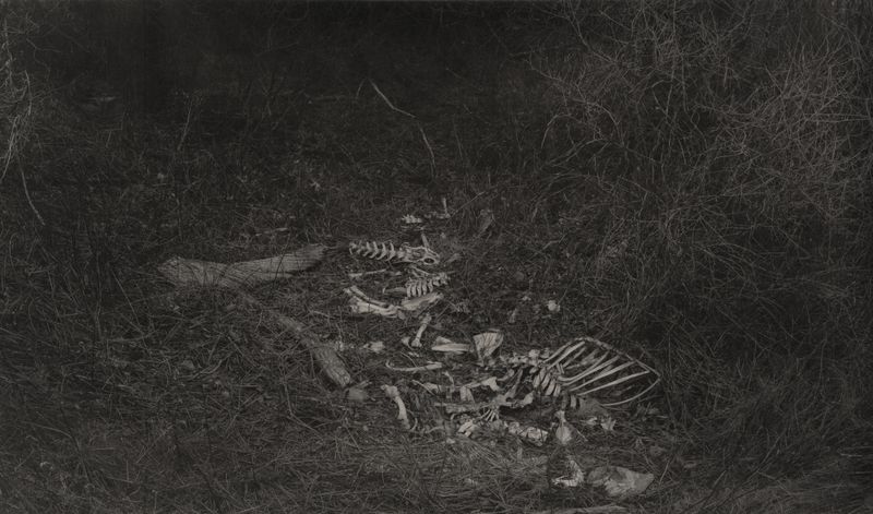 © Amélie Labourdette - Image from the Kósmos, plurality of worlds as Aby Warburguan library photography project