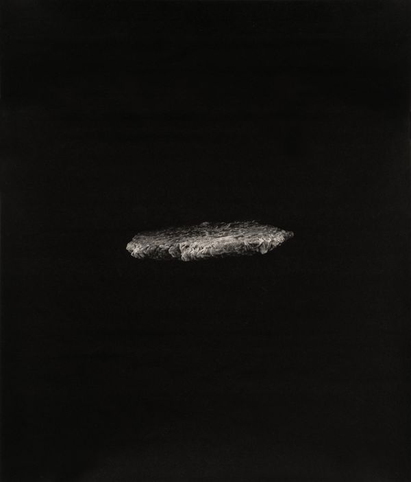 © Amélie Labourdette - Image from the Kósmos, plurality of worlds as Aby Warburguan library photography project