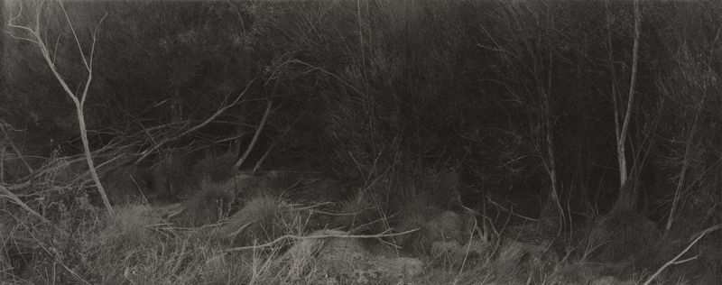 © Amélie Labourdette - Image from the Kósmos, plurality of worlds as Aby Warburguan library photography project