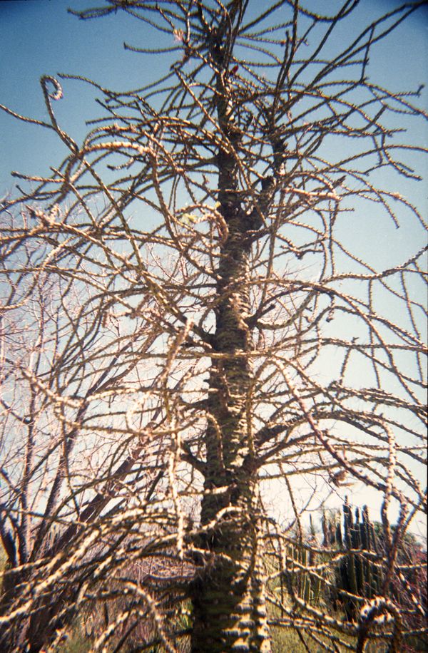 © Linda Zhengová - Image from the Maybe, Happiness Is... photography project