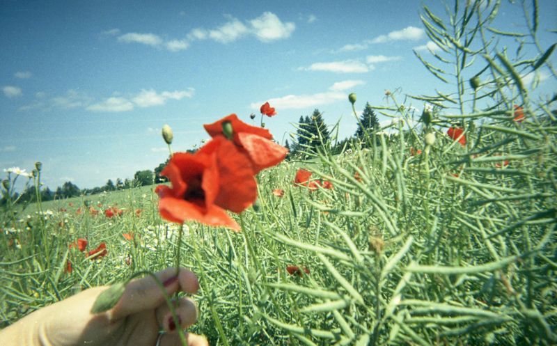 © Linda Zhengová - Image from the Maybe, Happiness Is... photography project