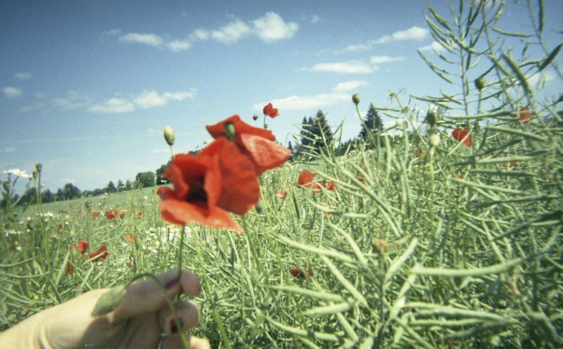 © Linda Zhengová - Image from the Maybe, Happiness Is... photography project