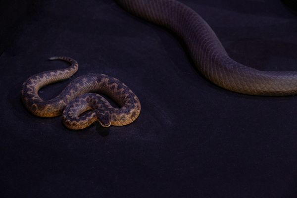 © Linda Zhengová - Image from the Catharsis photography project