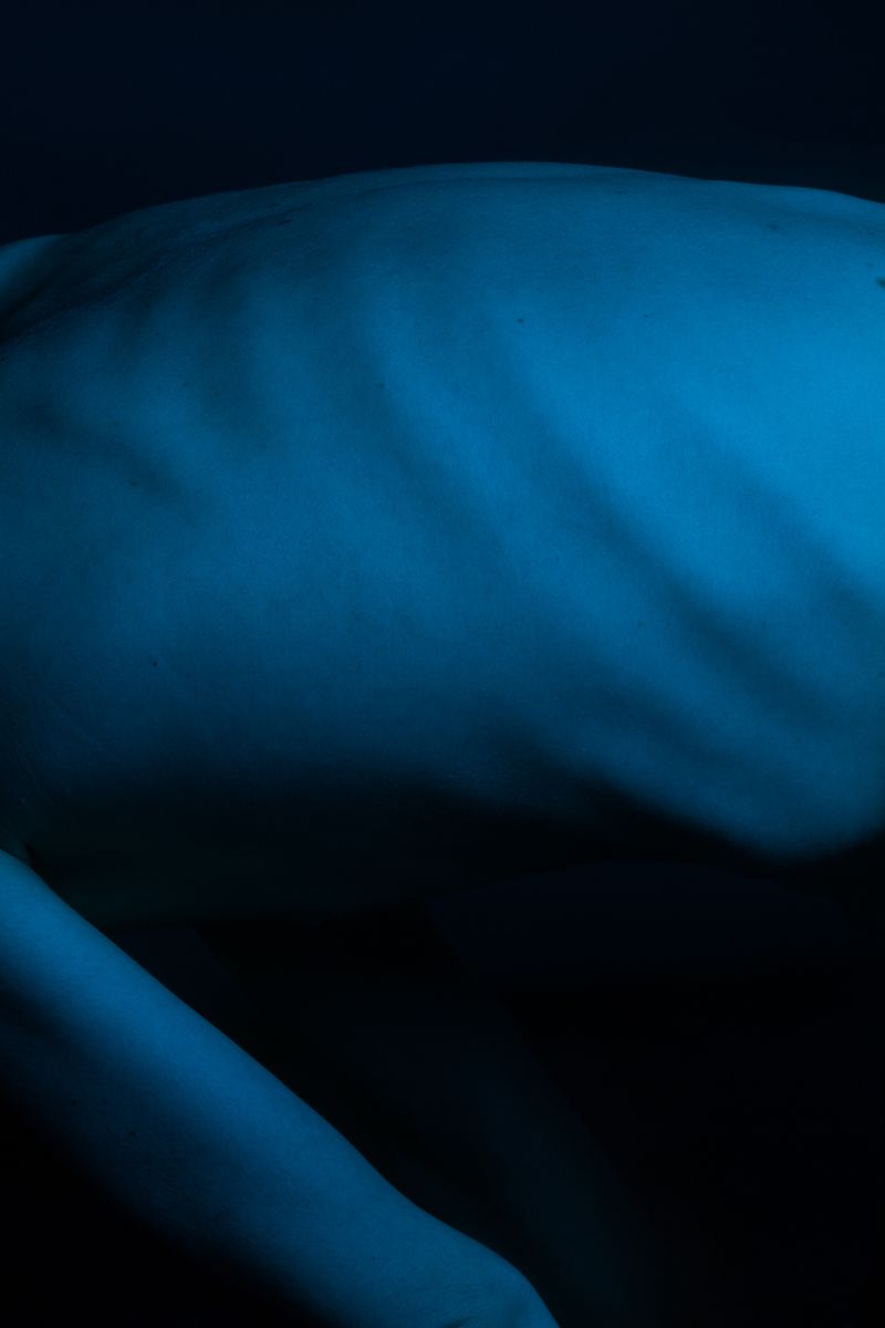 © Linda Zhengová - Image from the Catharsis photography project