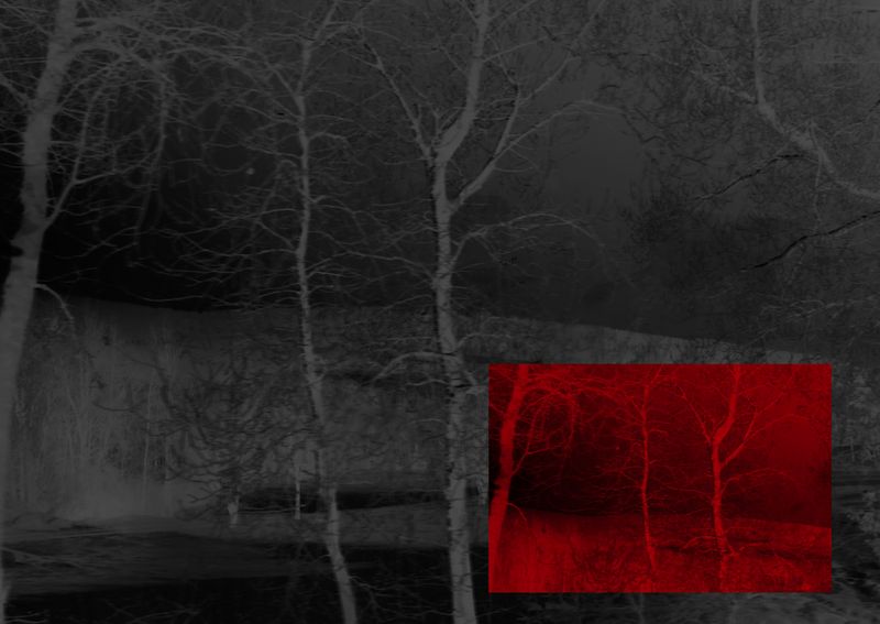 © Linda Zhengová - Image from the Catharsis photography project