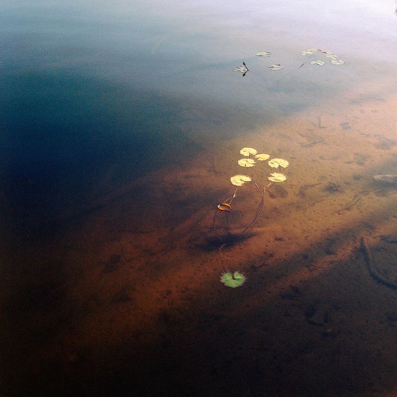 © Sophie Allerding - Image from the glowing eyes photography project