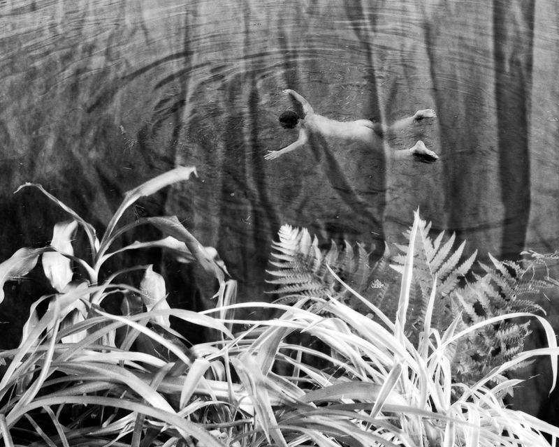 © Sophie Allerding - Image from the glowing eyes photography project