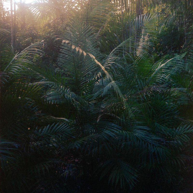 © Sophie Allerding - Image from the glowing eyes photography project