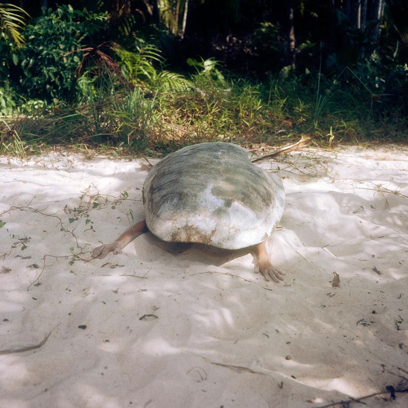 © Sophie Allerding - Image from the glowing eyes photography project