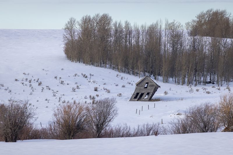 © Natalie Behring - An old farmhouse is falling down in Squirrel, Idaho