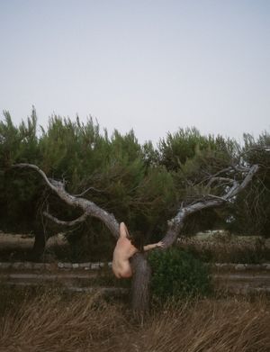 fragments of being