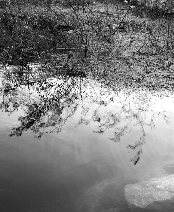 © Kairo Urovi - Image from the Stray Dog photography project