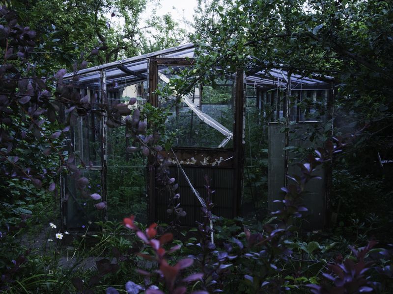 © Aleksandra Nowysz - Image from the Better Tomorrow photography project