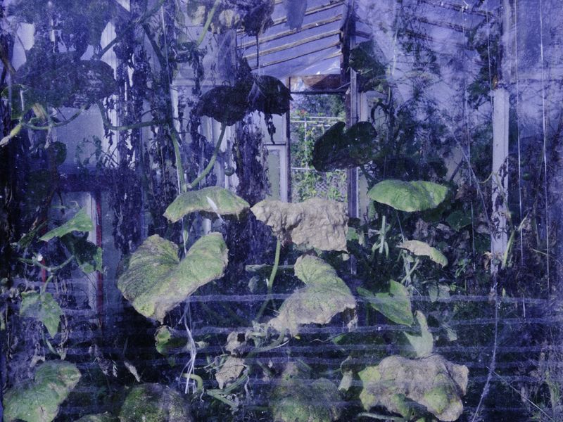© Aleksandra Nowysz - Image from the Better Tomorrow photography project