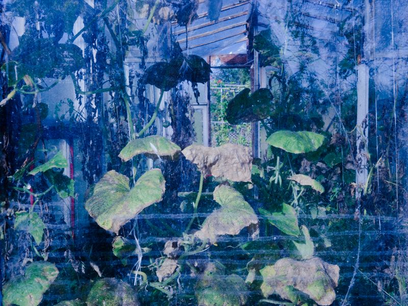 © Aleksandra Nowysz - Image from the Better Tomorrow photography project