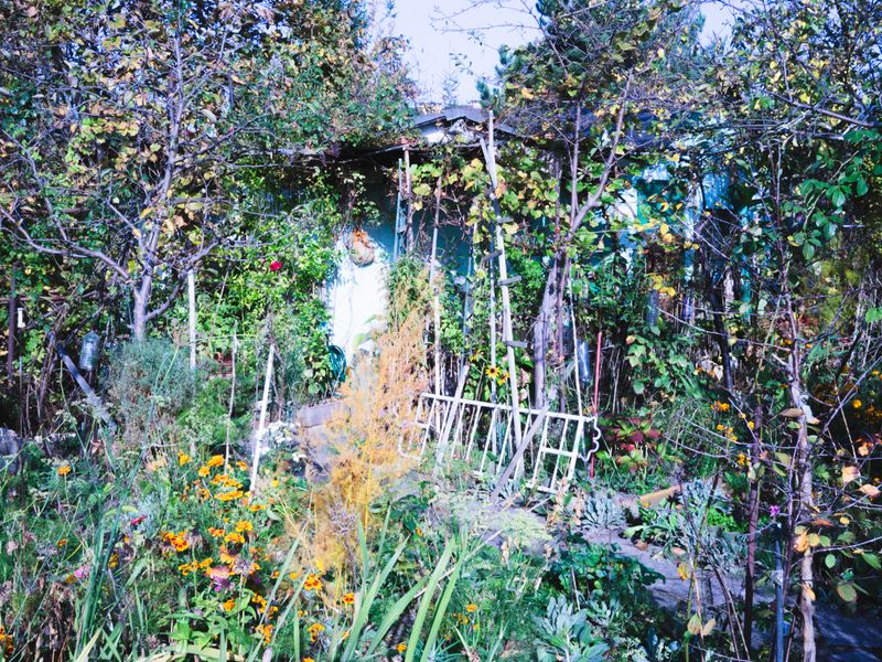 © Aleksandra Nowysz - Image from the Better Tomorrow photography project