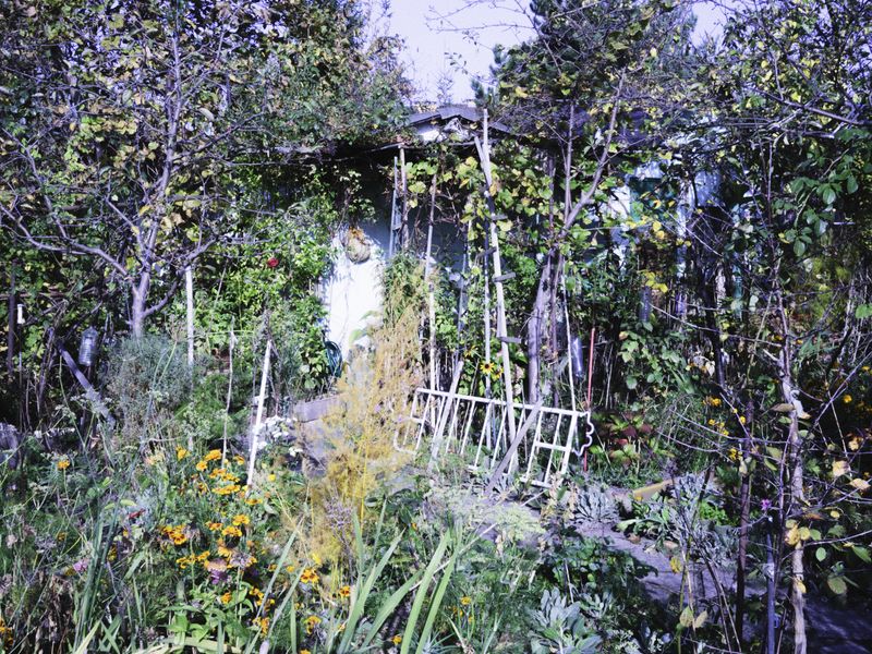 © Aleksandra Nowysz - Image from the Better Tomorrow photography project