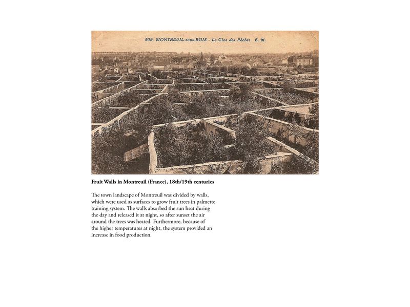 © Aleksandra Nowysz - Image from the Better Tomorrow photography project