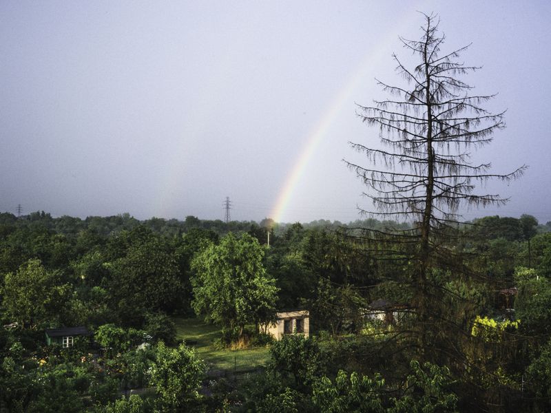© Aleksandra Nowysz - Image from the Better Tomorrow photography project
