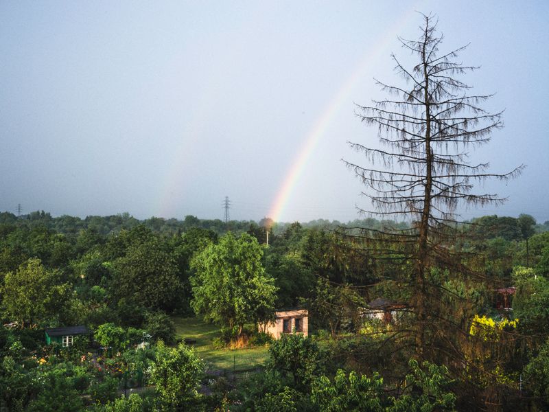 © Aleksandra Nowysz - Image from the Better Tomorrow photography project