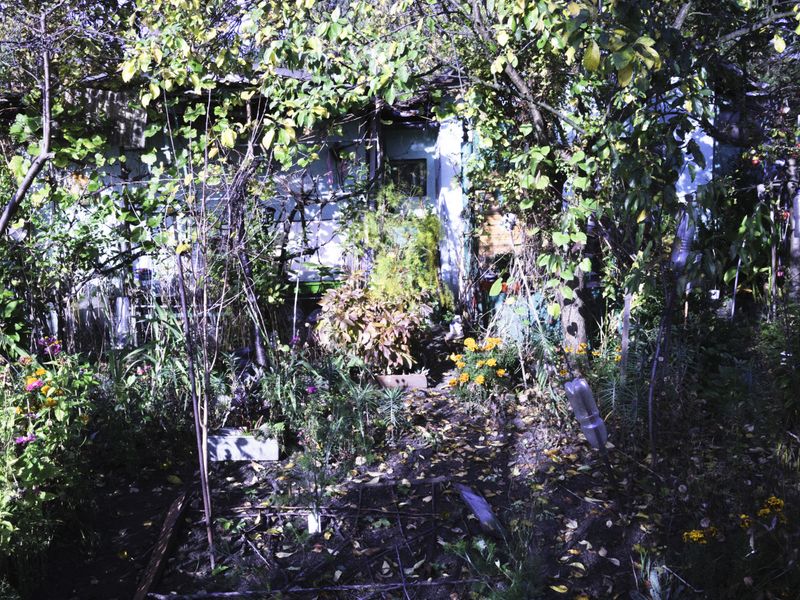 © Aleksandra Nowysz - Image from the Better Tomorrow photography project