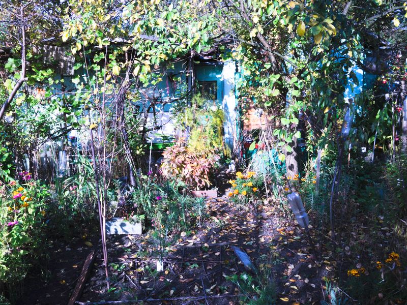 © Aleksandra Nowysz - Image from the Better Tomorrow photography project