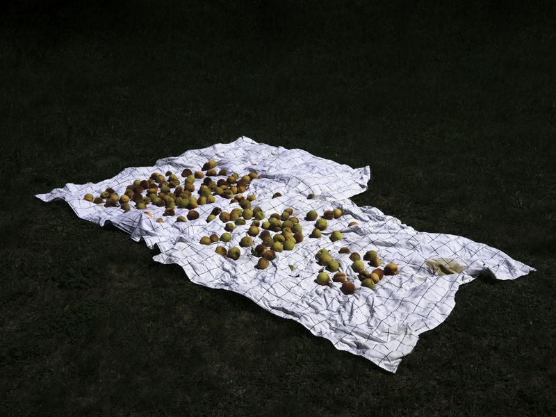 © Aleksandra Nowysz - Image from the Better Tomorrow photography project