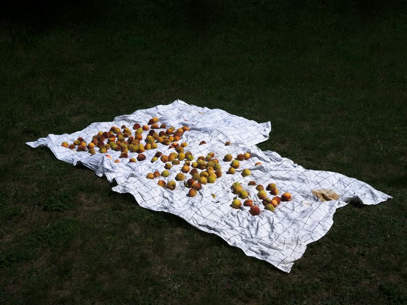 © Aleksandra Nowysz - Image from the Better Tomorrow photography project