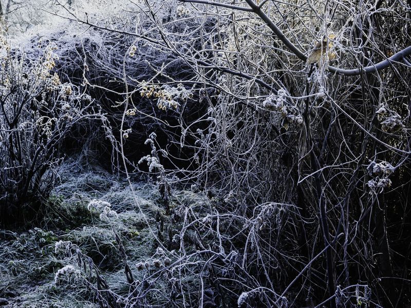 © Aleksandra Nowysz - Image from the Better Tomorrow photography project
