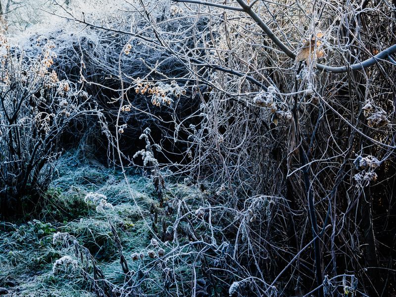 © Aleksandra Nowysz - Image from the Better Tomorrow photography project