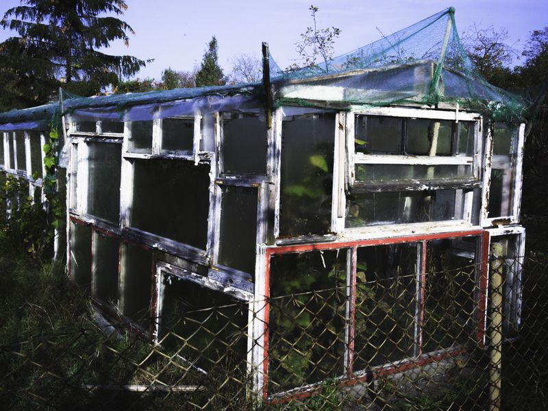 © Aleksandra Nowysz - Image from the Better Tomorrow photography project